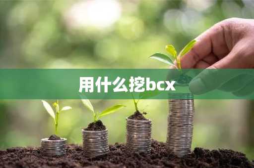 用什么挖bcx