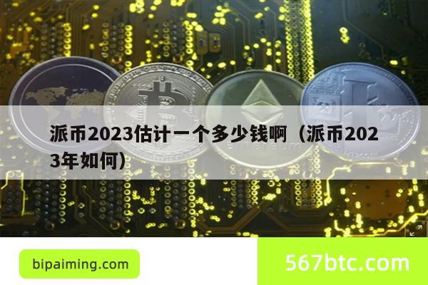 派币2023估计一个多少钱啊（派币2023年如何）