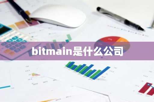 bitmain是什么公司