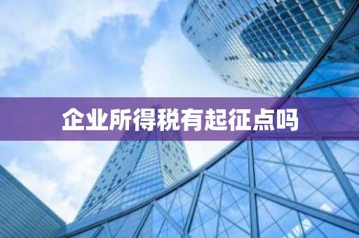 企业所得税有起征点吗