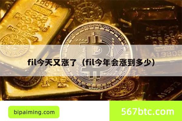fil今天又涨了（fil今年会涨到多少）
