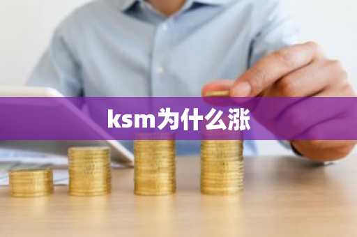 ksm为什么涨