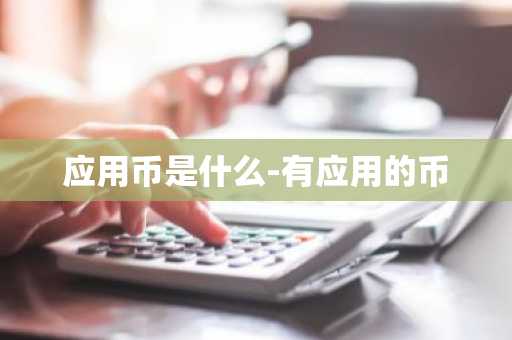 应用币是什么-有应用的币