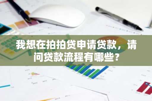 我想在拍拍贷申请贷款，请问贷款流程有哪些？