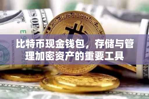 比特币现金钱包，存储与管理加密资产的重要工具
