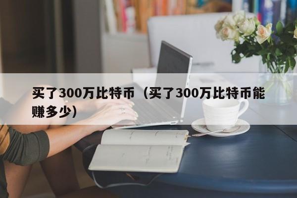 买了300万比特币（买了300万比特币能赚多少）