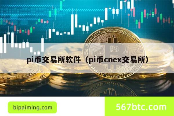 pi币交易所软件（pi币cnex交易所）