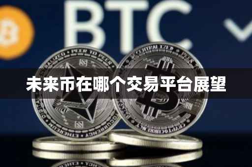 未来币在哪个交易平台展望