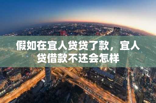 假如在宜人贷贷了款，宜人贷借款不还会怎样