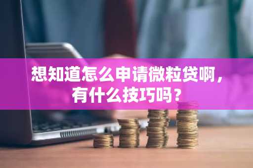 想知道怎么申请微粒贷啊，有什么技巧吗？