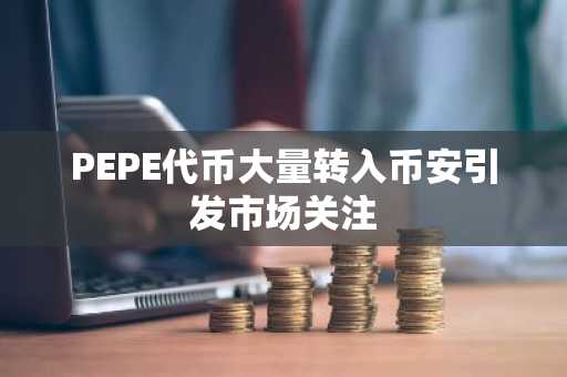 PEPE代币大量转入币安引发市场关注