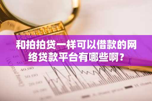 和拍拍贷一样可以借款的网络贷款平台有哪些啊？