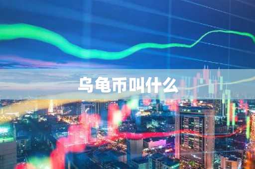 乌龟币叫什么