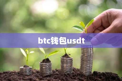 btc钱包usdt
