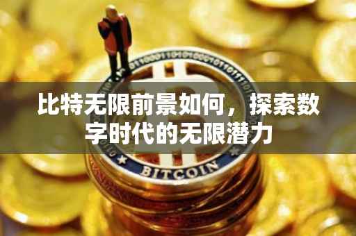 比特无限前景如何，探索数字时代的无限潜力