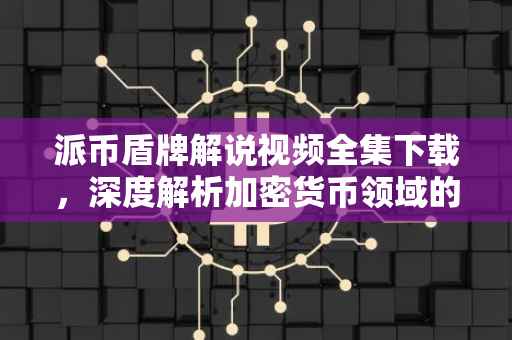 派币盾牌解说视频全集下载，深度解析加密货币领域的盾牌技术