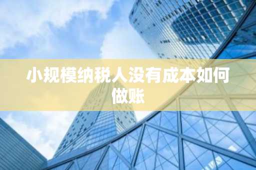 小规模纳税人没有成本如何做账