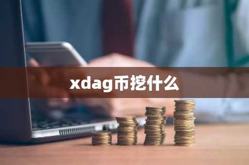 xdag币挖什么