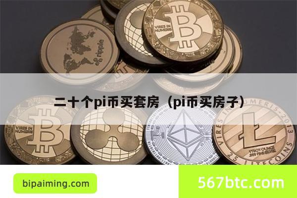 二十个pi币买套房（pi币买房子）
