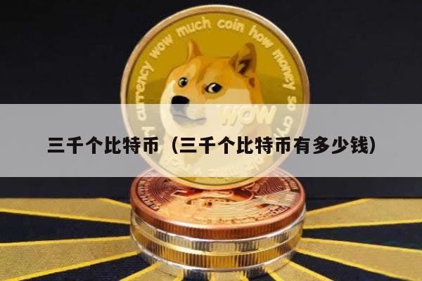 三千个比特币（三千个比特币有多少钱）
