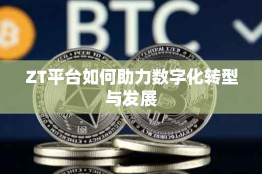 ZT平台如何助力数字化转型与发展