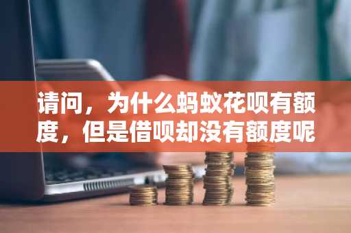 请问，为什么蚂蚁花呗有额度，但是借呗却没有额度呢？有人知道吗？求告知。