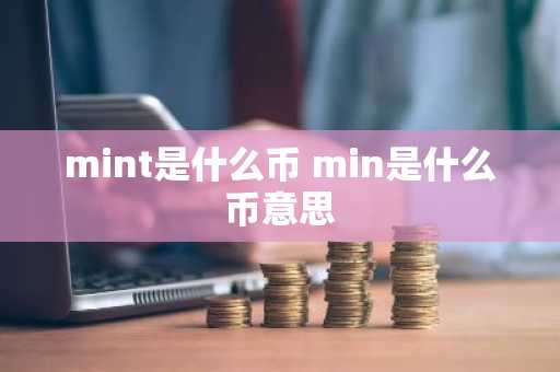 mint是什么币 min是什么币意思