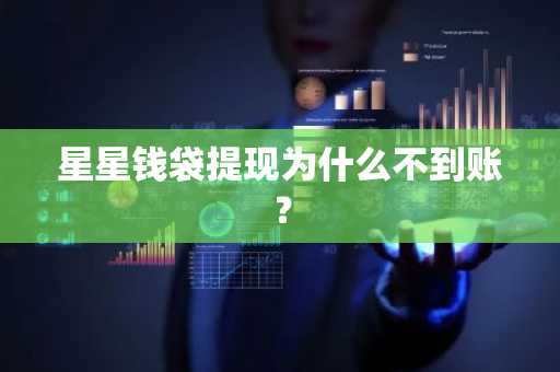 星星钱袋提现为什么不到账？