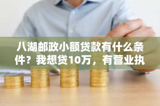 八湖邮政小额贷款有什么条件？我想贷10万，有营业执照刚办的能行吗？
