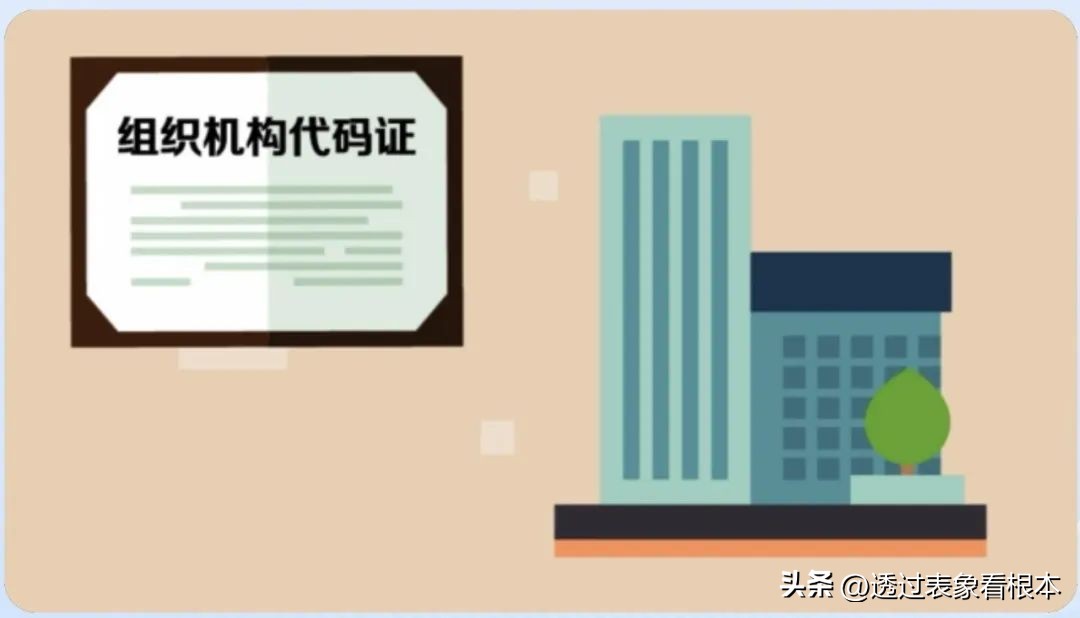 组织机构代码证是什么样子的（组织机构代码怎么查）