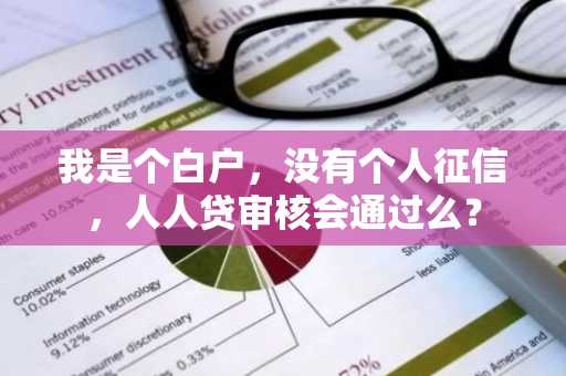 我是个白户，没有个人征信，人人贷审核会通过么？