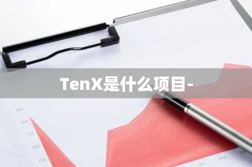TenX是什么项目-