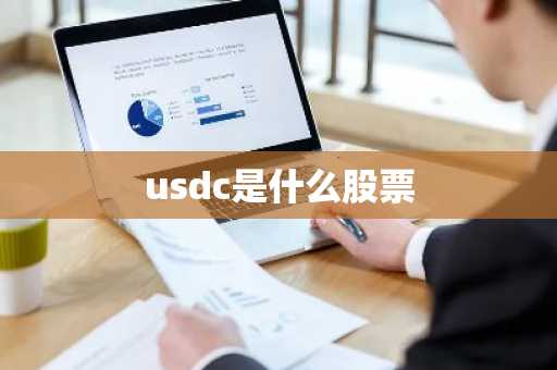 usdc是什么股票