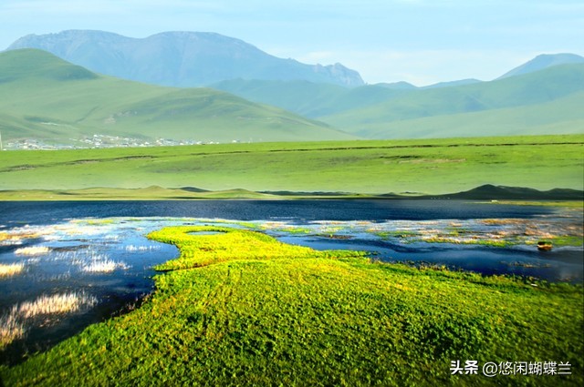 朋友圈不发图片只发文字怎么发（朋友圈不发图片只发文字怎么发苹果）