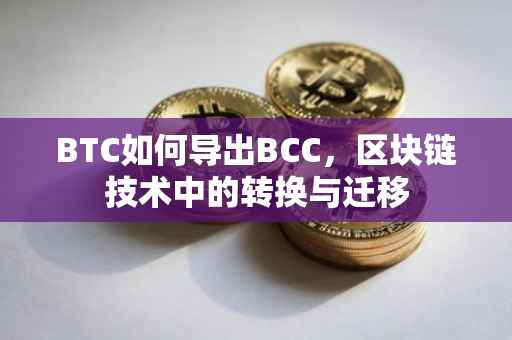 BTC如何导出BCC，区块链技术中的转换与迁移