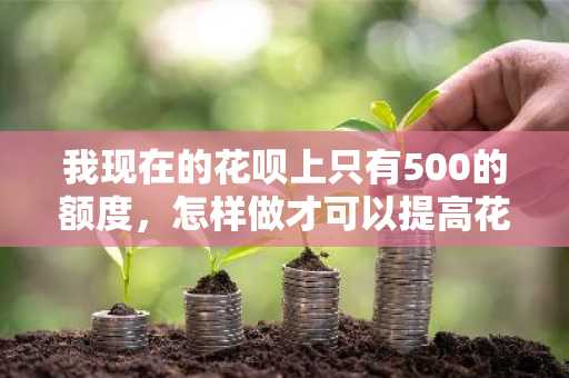 我现在的花呗上只有500的额度，怎样做才可以提高花呗的额度啊？