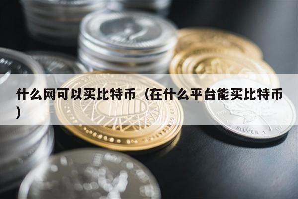 什么网可以买比特币（在什么平台能买比特币）