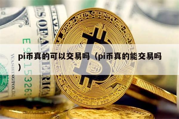 pi币真的可以交易吗（pi币真的能交易吗）