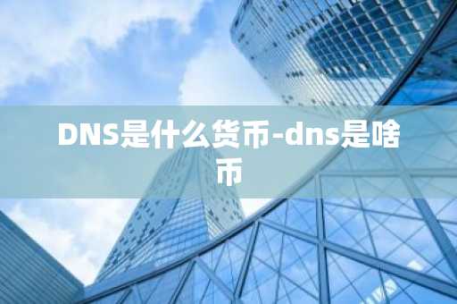 DNS是什么货币-dns是啥币