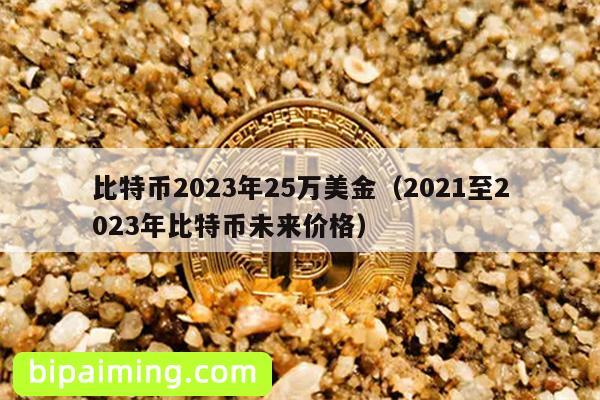 比特币2023年25万美金（2021至2023年比特币未来价格）