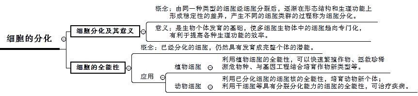 细胞分化的特点（细胞分化的特点不包括）