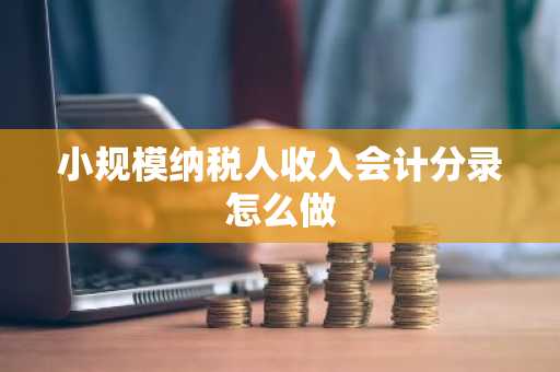 小规模纳税人收入会计分录怎么做