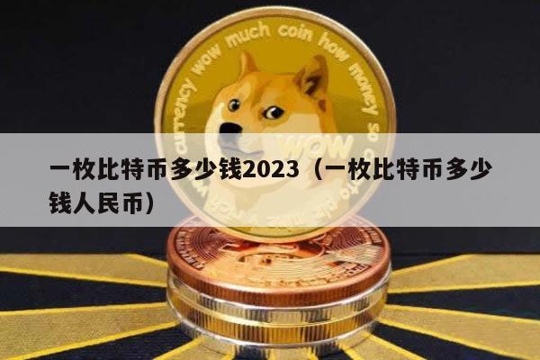 一枚比特币多少钱2023（一枚比特币多少钱人民币）
