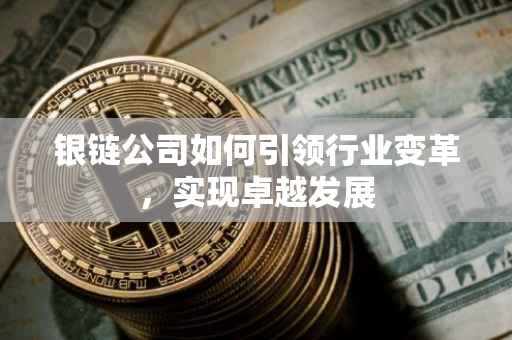 银链公司如何引领行业变革，实现卓越发展