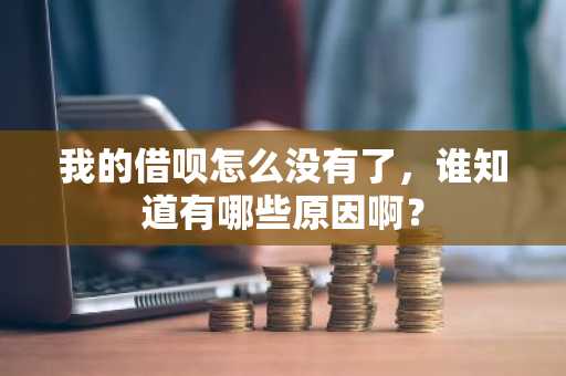 我的借呗怎么没有了，谁知道有哪些原因啊？