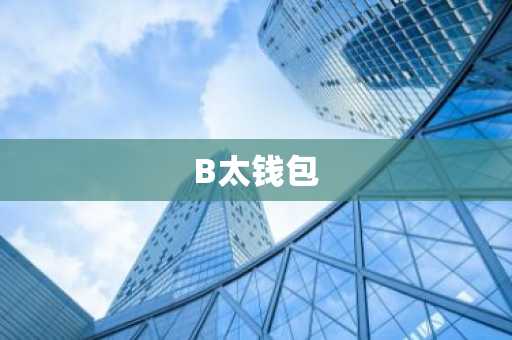 B太钱包