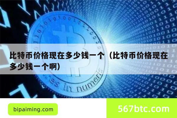 比特币价格现在多少钱一个（比特币价格现在多少钱一个啊）