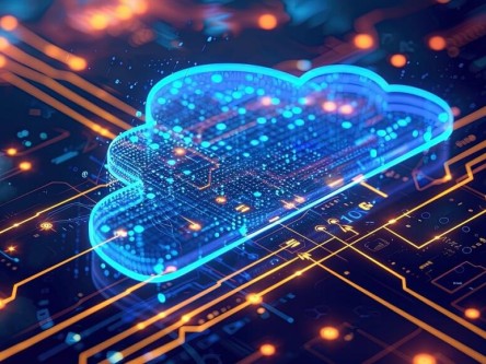 王巍比特币最新视频