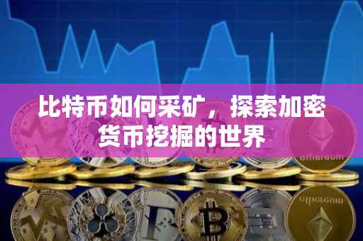 比特币如何采矿，探索加密货币挖掘的世界