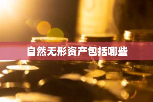 自然无形资产包括哪些